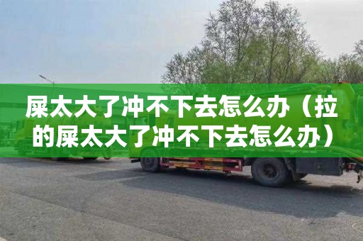 屎太大了冲不下去怎么办（拉的屎太大了冲不下去怎么办）