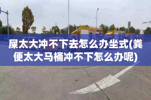 屎太大冲不下去怎么办坐式(粪便太大马桶冲不下怎么办呢)