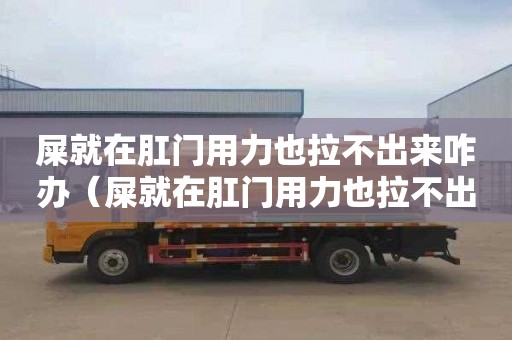 屎就在肛门用力也拉不出来咋办（屎就在肛门用力也拉不出来咋办 急救）