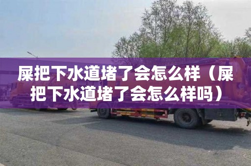 屎把下水道堵了会怎么样（屎把下水道堵了会怎么样吗）