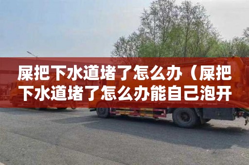 屎把下水道堵了怎么办（屎把下水道堵了怎么办能自己泡开吗）
