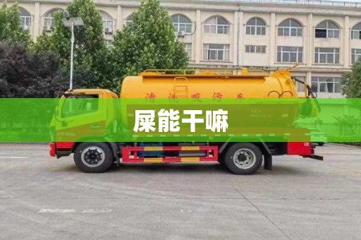 屎能干嘛