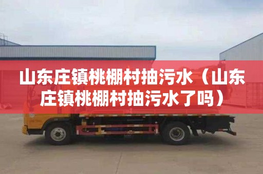 山东庄镇桃棚村抽污水（山东庄镇桃棚村抽污水了吗）