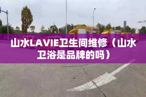 山水LAVIE卫生间维修（山水卫浴是品牌的吗）