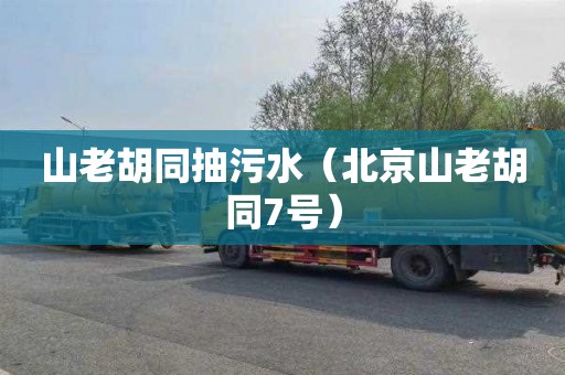 山老胡同抽污水（北京山老胡同7号）