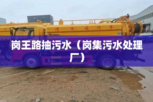 岗王路抽污水（岗集污水处理厂）