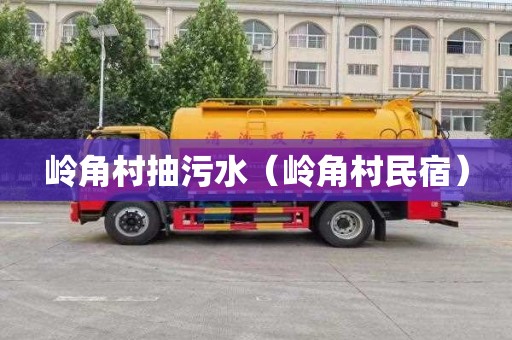 岭角村抽污水（岭角村民宿）