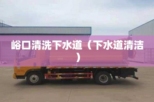 峪口清洗下水道（下水道清洁）