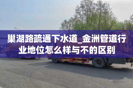 巢湖路疏通下水道_金洲管道行业地位怎么样与不的区别