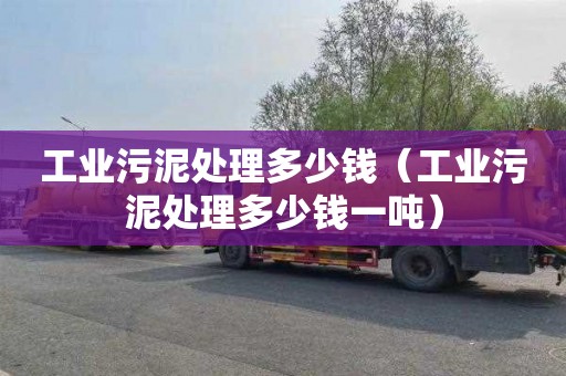 工业污泥处理多少钱（工业污泥处理多少钱一吨）
