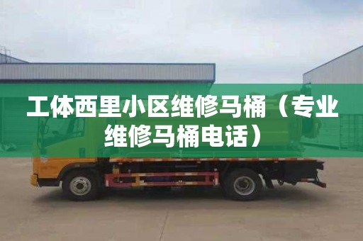 工体西里小区维修马桶（专业维修马桶电话）