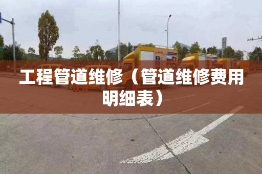 工程管道维修（管道维修费用明细表）