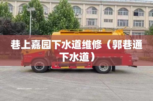 巷上嘉园下水道维修（郭巷通下水道）