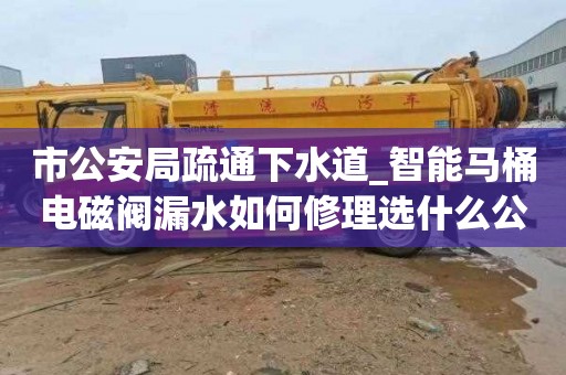 市公安局疏通下水道_智能马桶电磁阀漏水如何修理选什么公司好