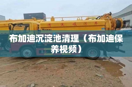 布加迪沉淀池清理（布加迪保养视频）