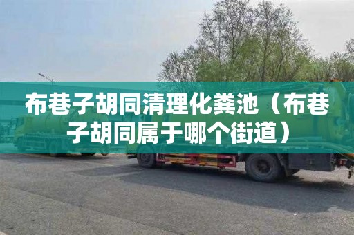 布巷子胡同清理化粪池（布巷子胡同属于哪个街道）