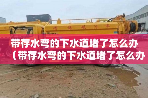 带存水弯的下水道堵了怎么办（带存水弯的下水道堵了怎么办视频）