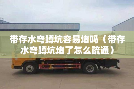带存水弯蹲坑容易堵吗（带存水弯蹲坑堵了怎么疏通）