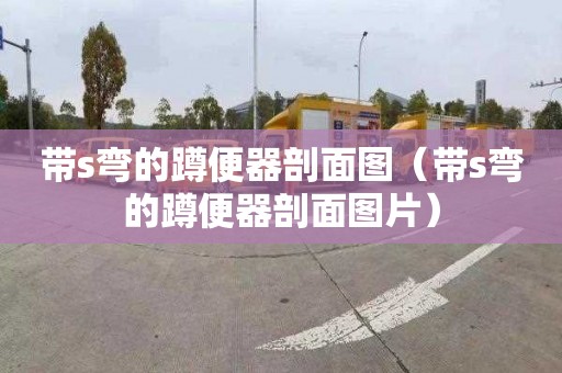 带s弯的蹲便器剖面图（带s弯的蹲便器剖面图片）