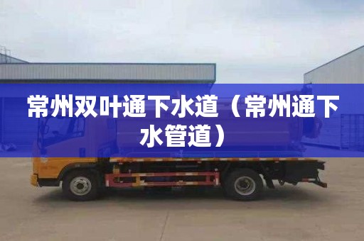 常州双叶通下水道（常州通下水管道）