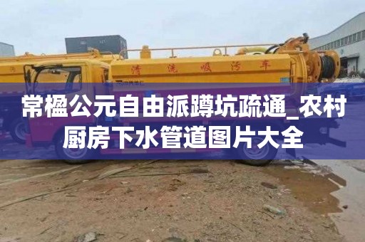 常楹公元自由派蹲坑疏通_农村厨房下水管道图片大全
