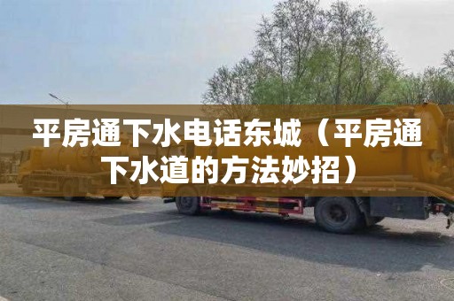 平房通下水电话东城（平房通下水道的方法妙招）