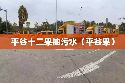平谷十二果抽污水（平谷果）