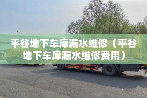 平谷地下车库漏水维修（平谷地下车库漏水维修费用）