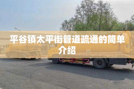 平谷镇太平街管道疏通的简单介绍