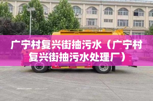 广宁村复兴街抽污水（广宁村复兴街抽污水处理厂）