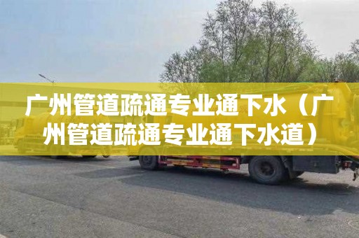 广州管道疏通专业通下水（广州管道疏通专业通下水道）
