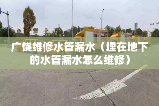 广饶维修水管漏水（埋在地下的水管漏水怎么维修）