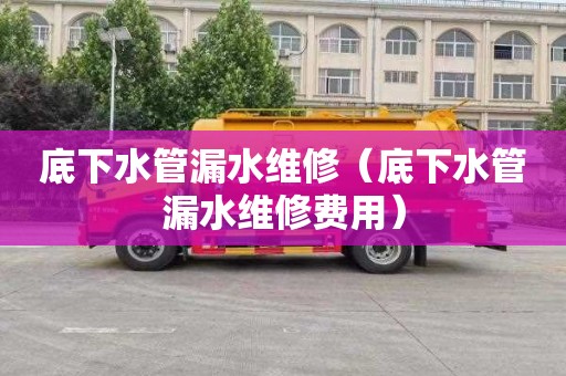 底下水管漏水维修（底下水管漏水维修费用）