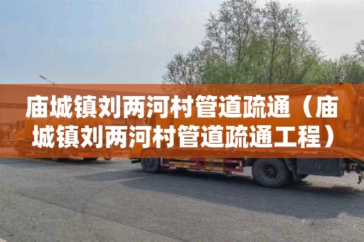 庙城镇刘两河村管道疏通（庙城镇刘两河村管道疏通工程）