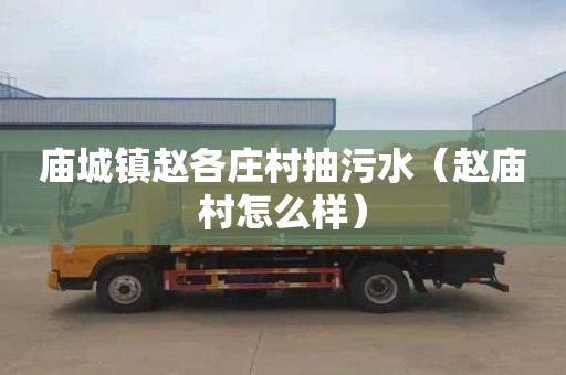 庙城镇赵各庄村抽污水（赵庙村怎么样）