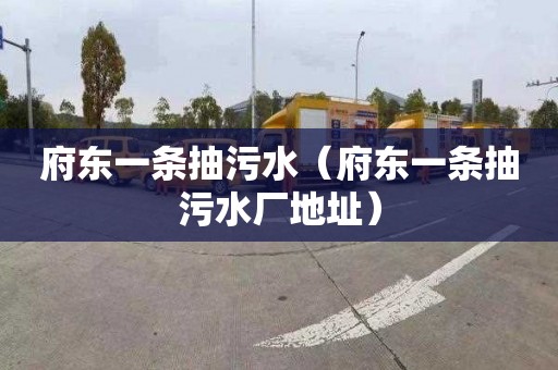 府东一条抽污水（府东一条抽污水厂地址）