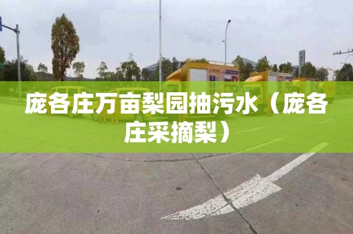 庞各庄万亩梨园抽污水（庞各庄采摘梨）