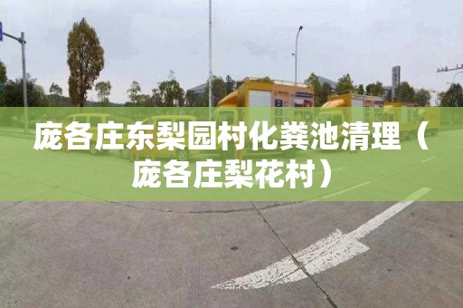 庞各庄东梨园村化粪池清理（庞各庄梨花村）
