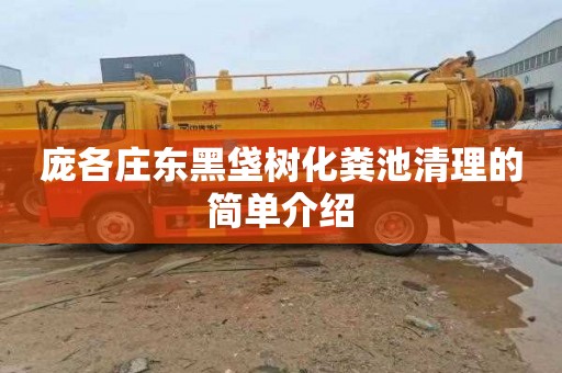庞各庄东黑垡树化粪池清理的简单介绍