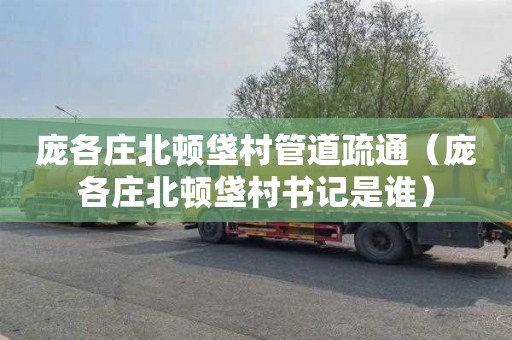 庞各庄北顿垡村管道疏通（庞各庄北顿垡村书记是谁）