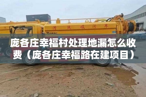 庞各庄幸福村处理地漏怎么收费（庞各庄幸福路在建项目）