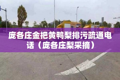 庞各庄金把黄鸭梨排污疏通电话（庞各庄梨采摘）