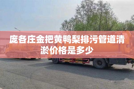 庞各庄金把黄鸭梨排污管道清淤价格是多少