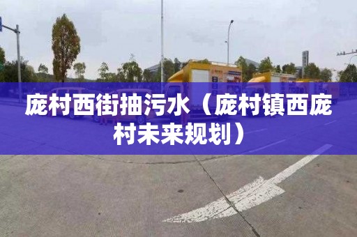 庞村西街抽污水（庞村镇西庞村未来规划）