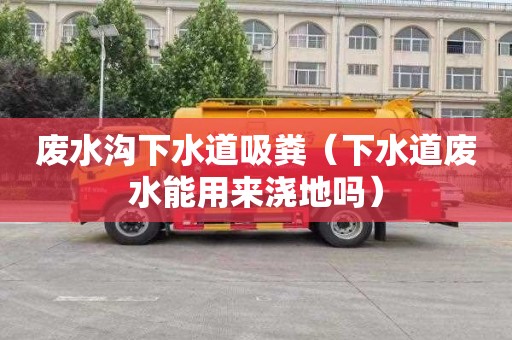 废水沟下水道吸粪（下水道废水能用来浇地吗）