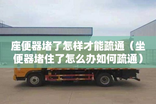 座便器堵了怎样才能疏通（坐便器堵住了怎么办如何疏通）