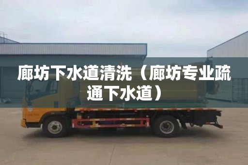 廊坊下水道清洗（廊坊专业疏通下水道）