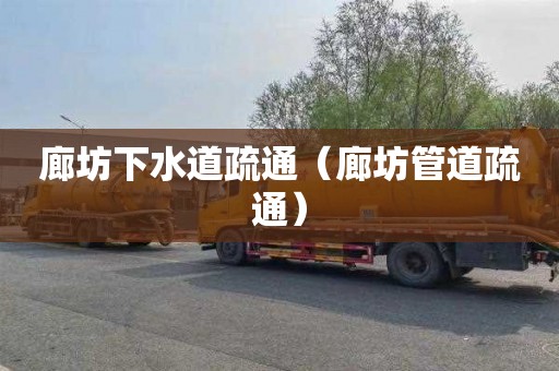 廊坊下水道疏通（廊坊管道疏通）