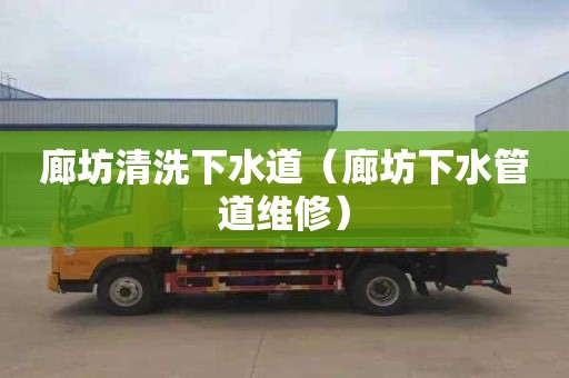 廊坊清洗下水道（廊坊下水管道维修）
