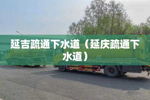 延吉疏通下水道（延庆疏通下水道）